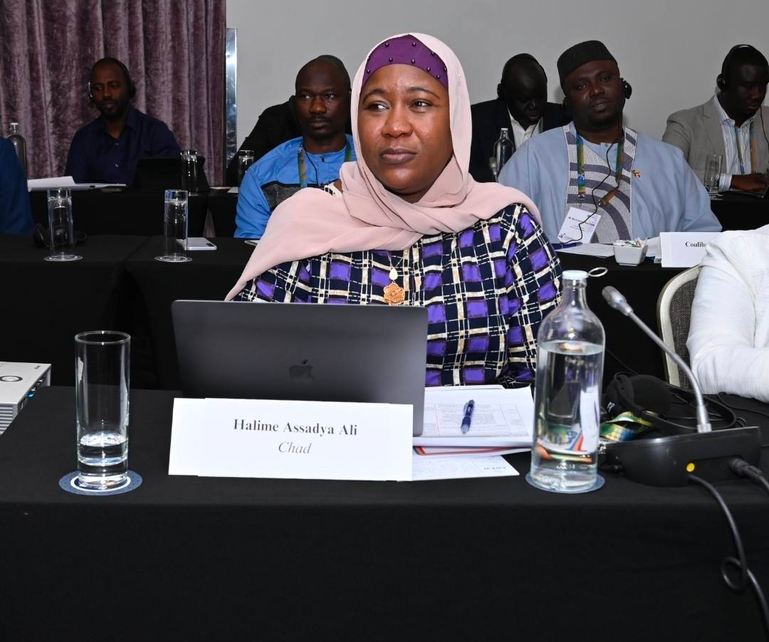 Intégrité de l’information : les régulateurs africains réunis autour d’un guide pratique